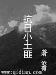 抗日小土匪